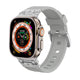Silver–Gray